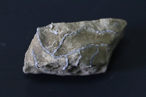 化石矿物陈列标本-地质标本-岩石标本-友苏地质标本（杭州余杭区仁和 